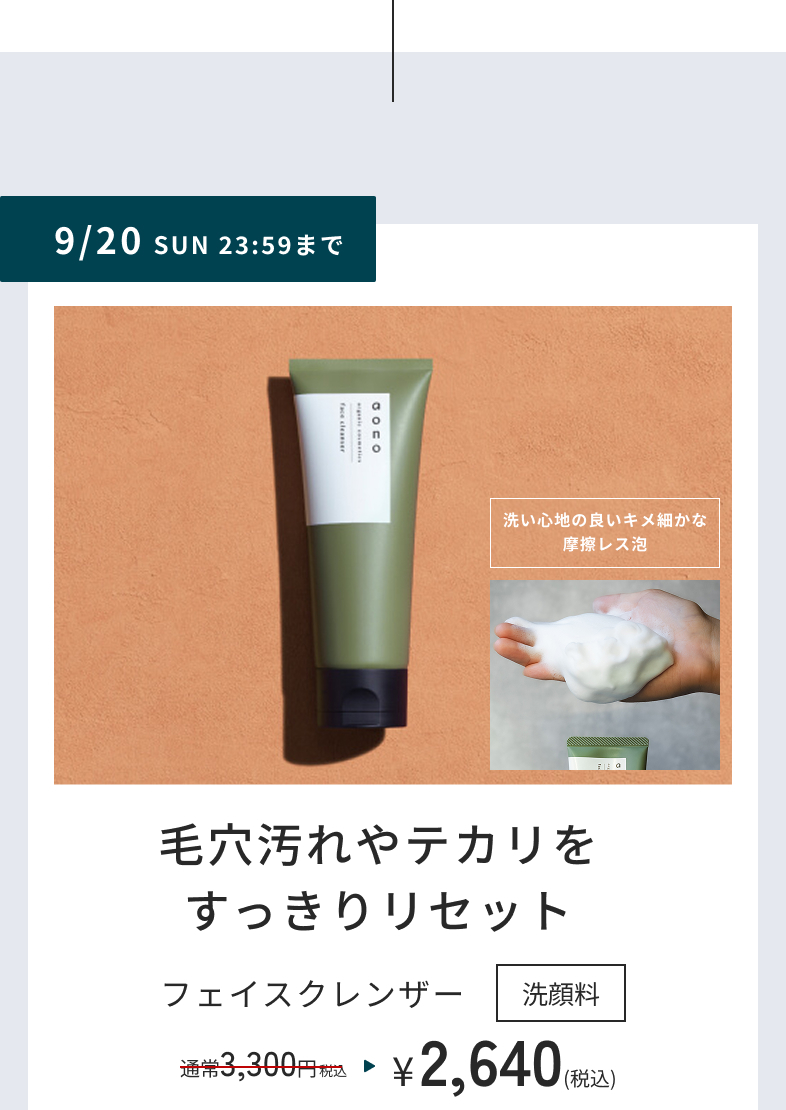 9/20 SUN 23:59まで　洗い心地の良いキメ細かな摩擦レス泡　毛穴汚れやテカリをすっきりリセット　フェイスクレンザー　洗顔料　通常3,300円税込が2,640円(税込)