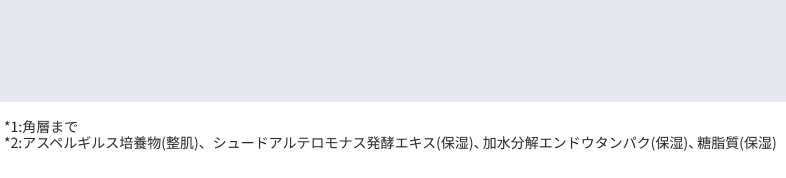 *1:角層まで　*2:アスペルギルス培養物(整肌)、シュードアルテロモナス発酵エキス(保湿)、加水分解エンドウタンパク(保湿)、糖脂質(保湿)