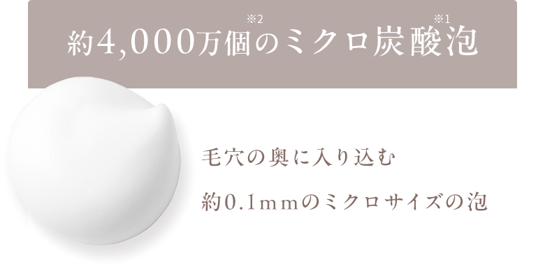 約4,000万個のミクロ炭酸泡 毛穴の奥に入り込む約0.1mmのミクロサイズの泡