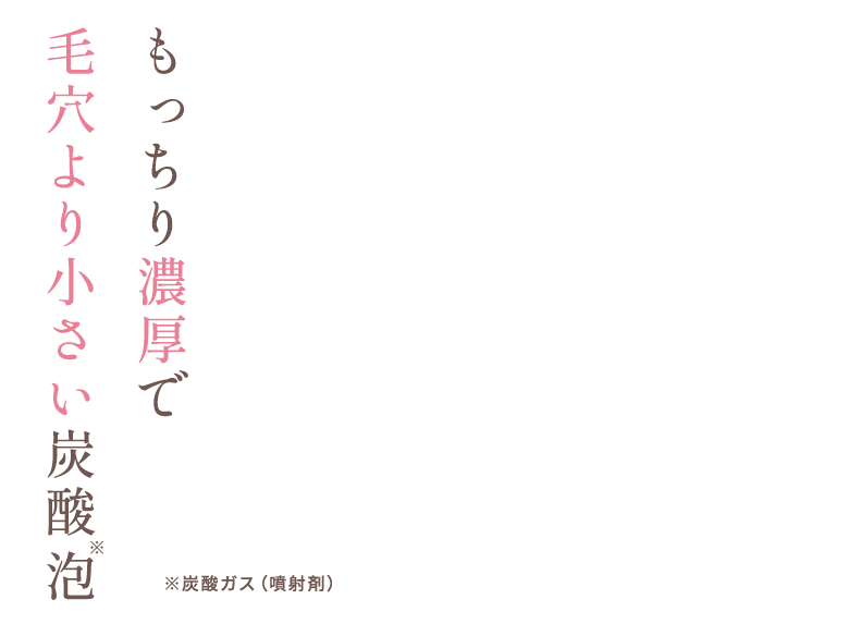 もっちり濃厚で 毛穴より小さい炭酸※泡 ※炭酸ガス（噴射剤）