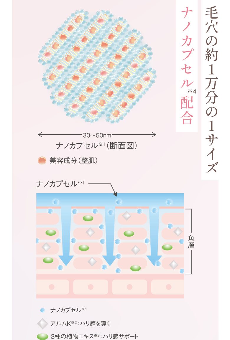 毛穴の約1万分の1サイズ ナノカプセル※4配合