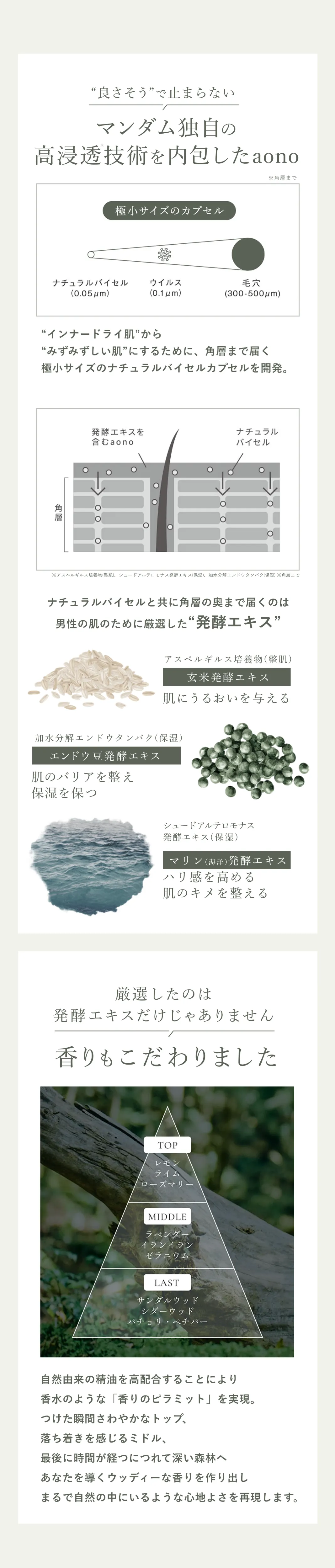 良さそうで止まらない マンダム独自の高浸透技術を内包したaono 極小サイズのナチュラルバイセルカプセルが角層まで浸透 “インナードライ肌”から”みずみずしい肌”にするために、角質層まで届く極小サイズのナチュラルバイセルカプセルを開発。 ナチュラルバイセルと共に奥※まで届くのは男性の肌のために厳選した”発酵エキス” 