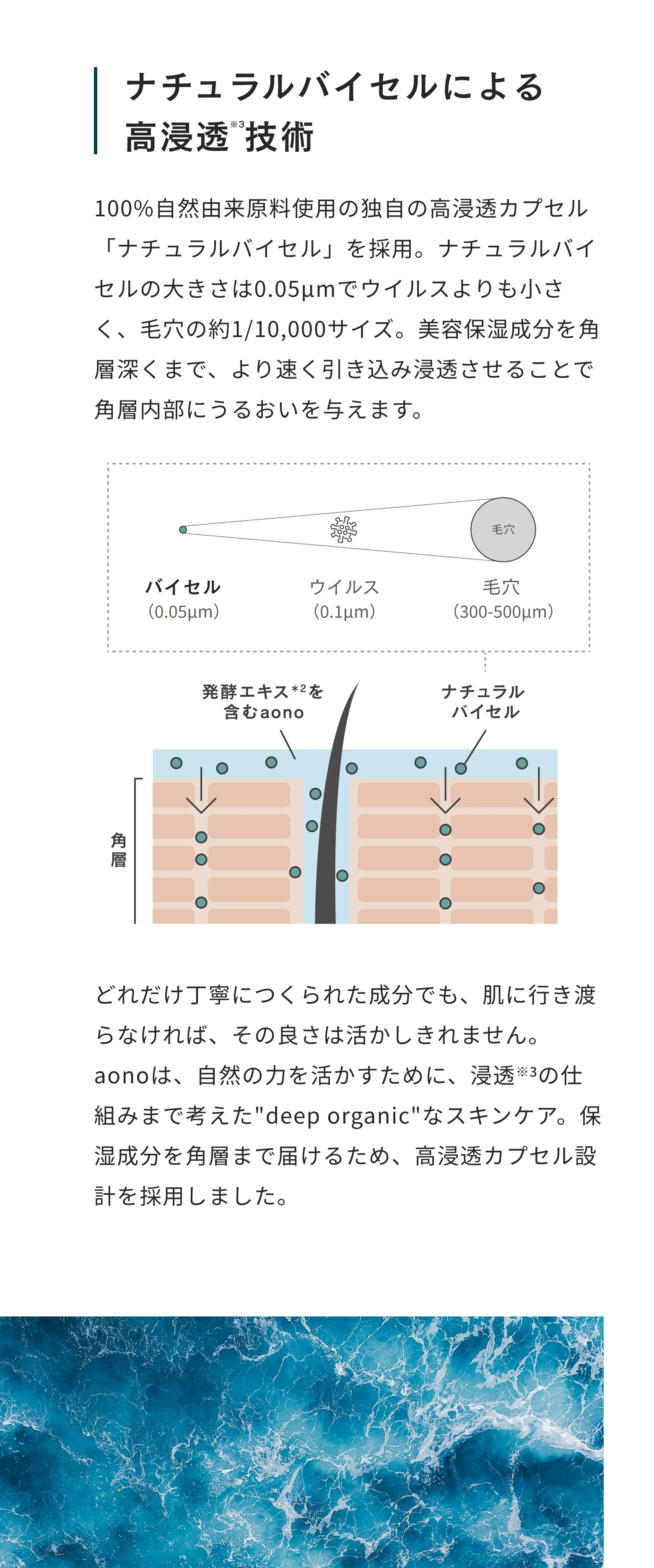ナチュラルバイセルによる高浸透技術。0.05μmの高浸透カプセルで美容保湿成分を角層深くまで届けます。